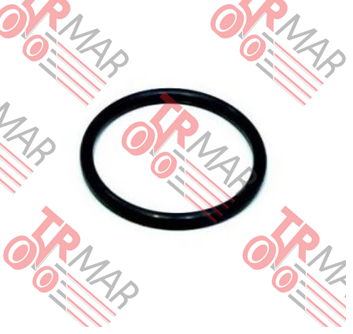 O-Ring
