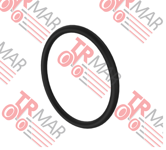 O-Ring