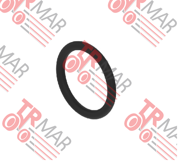 O-Ring