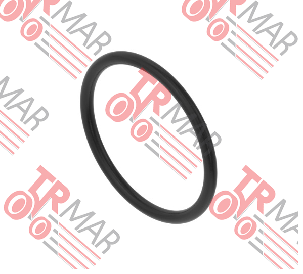 O-Ring