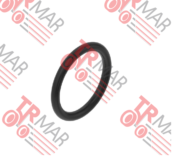 O-Ring