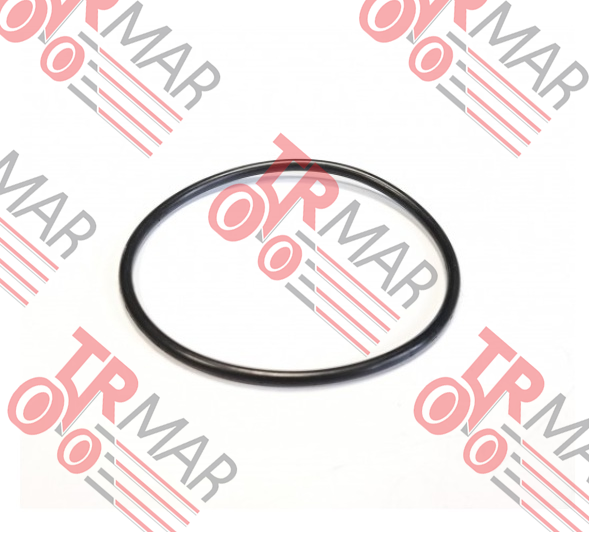 O-Ring
