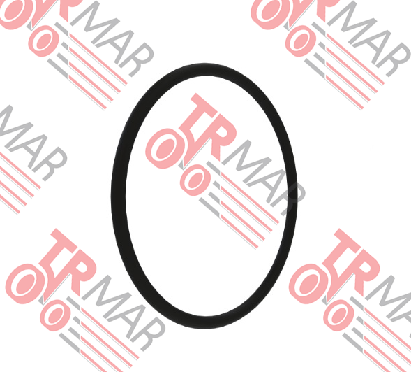 O-Ring