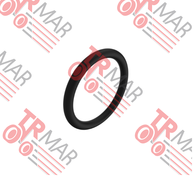 O-Ring
