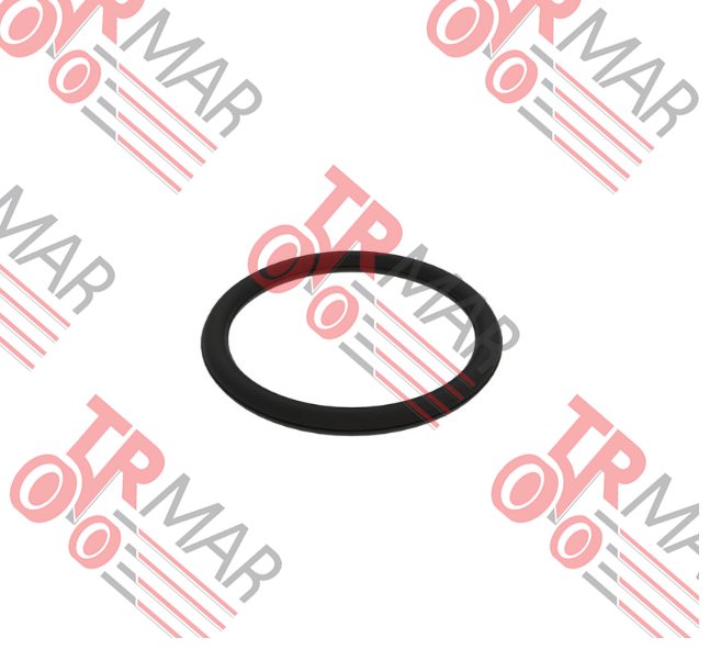 O-Ring