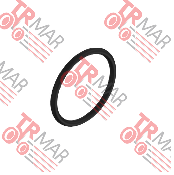 O-Ring
