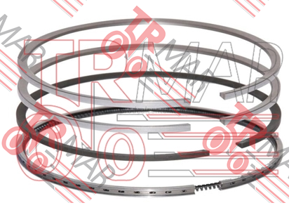 Piston Segman Takımı