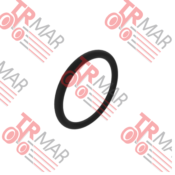 O-Ring