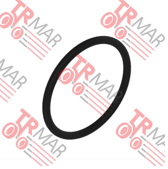 O-Ring