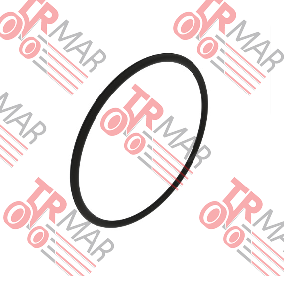 O-Ring
