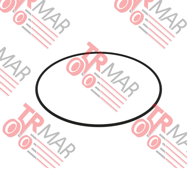 O-Ring