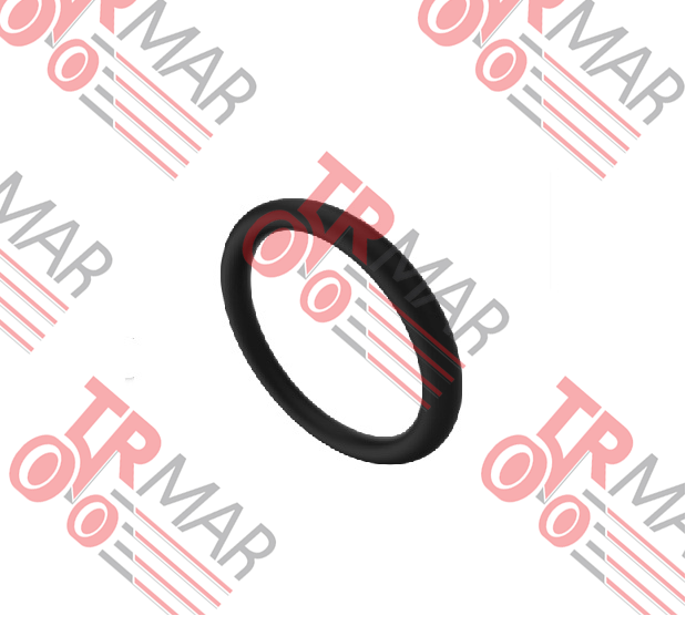 O-Ring