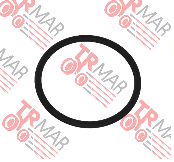 O-Ring