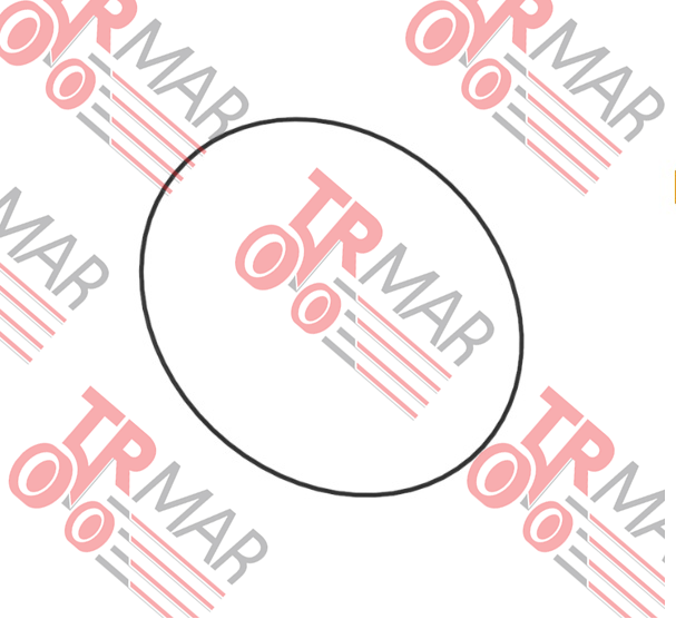 O-Ring