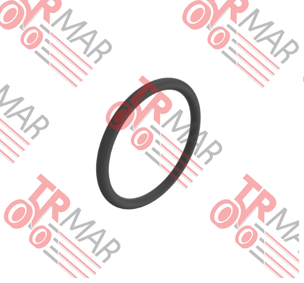 O-Ring