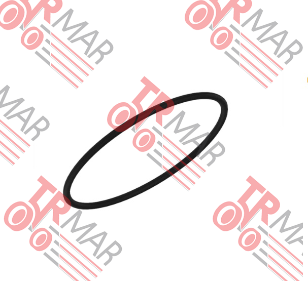 O-Ring