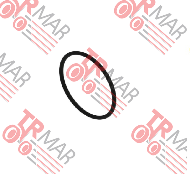 O-Ring