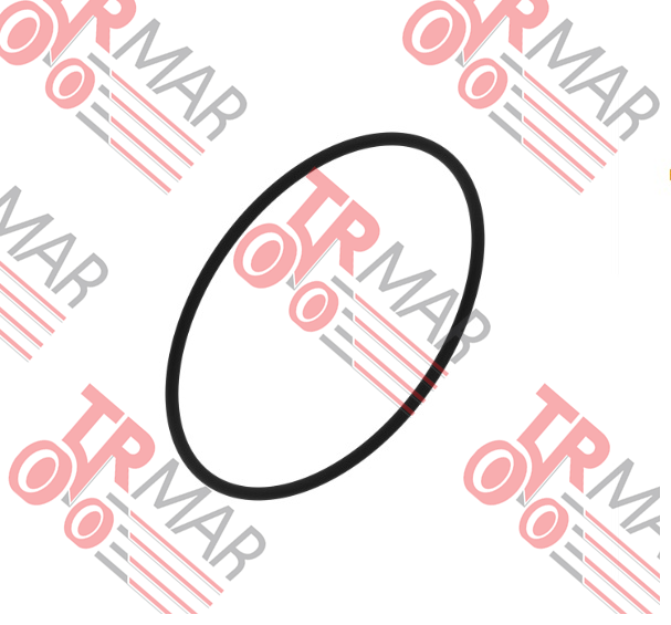 O-Ring