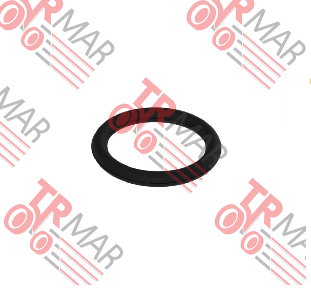 O-Ring