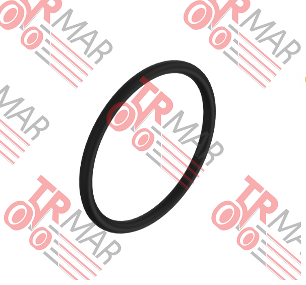 O-Ring