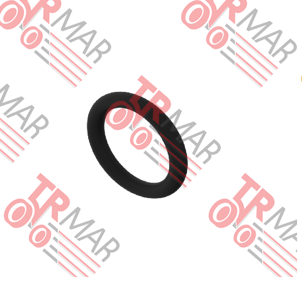 O-Ring