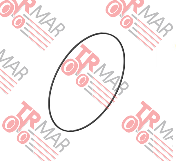 O-Ring