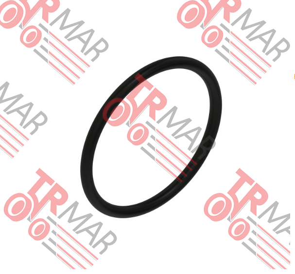 O-Ring