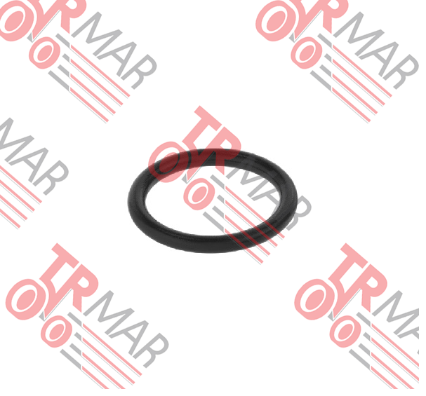 O-Ring