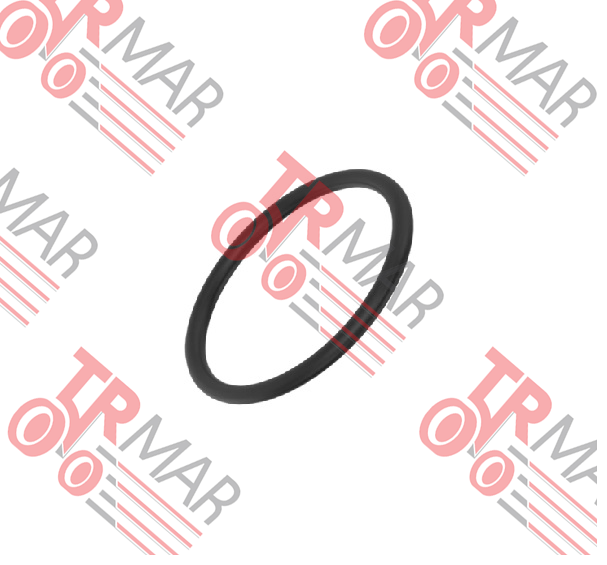 O-Ring