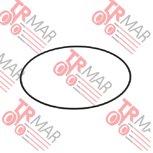 O-Ring