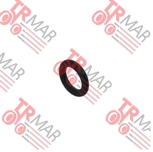 O-Ring