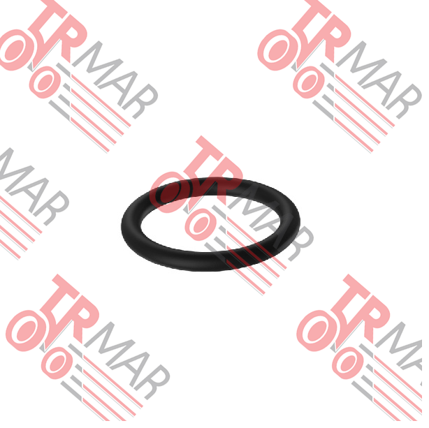 O-Ring