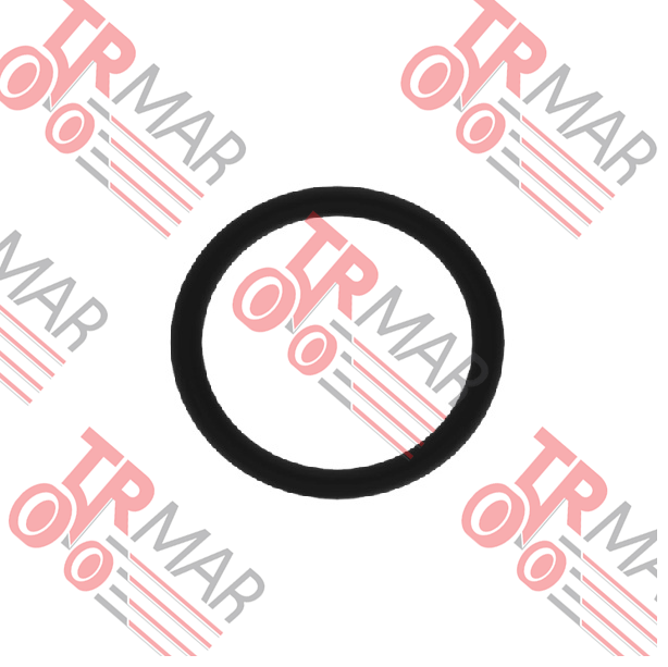 O-Ring