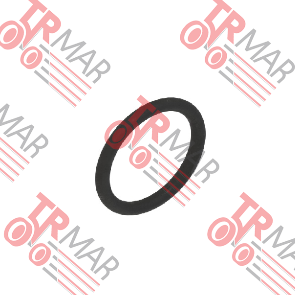 O-Ring
