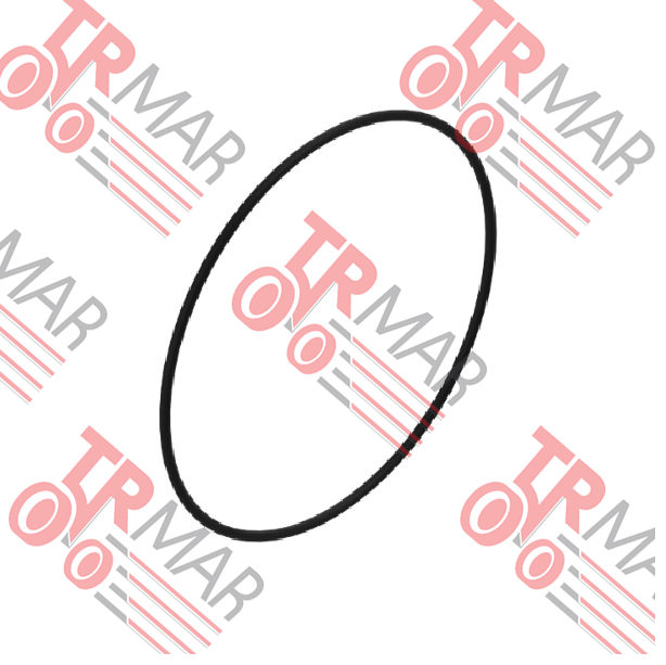 O-Ring