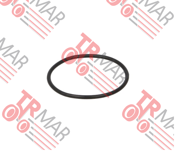 O-Ring