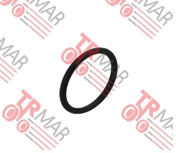 O-Ring