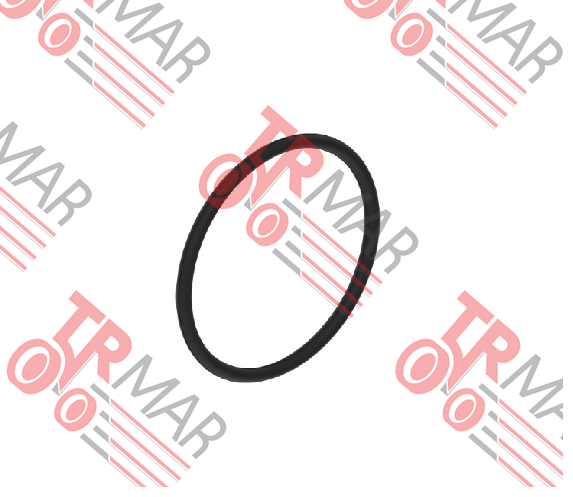 O-Ring