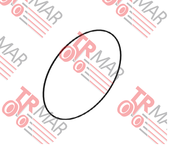 O-Ring