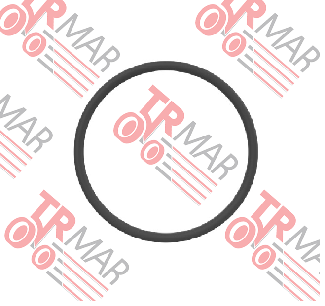O-Ring