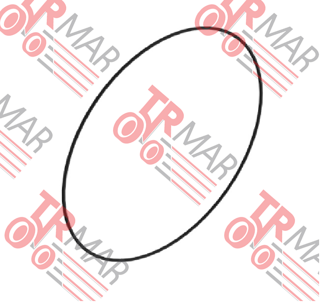 O-Ring