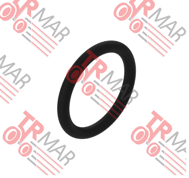 O-Ring
