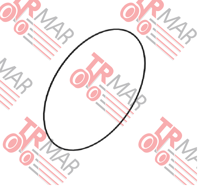 O-Ring
