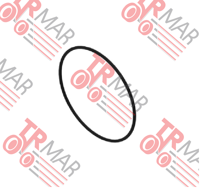O-Ring