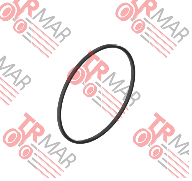 O-Ring