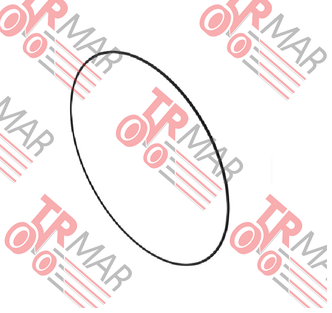O-Ring