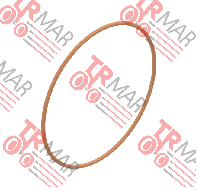 O-Ring