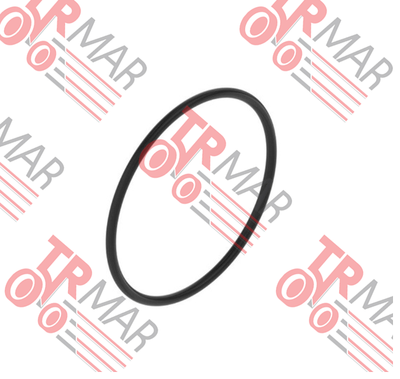 O-Ring
