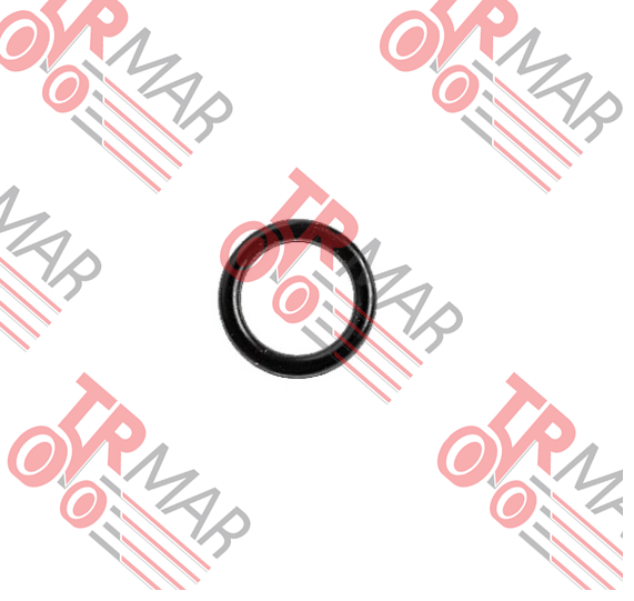 O-Ring