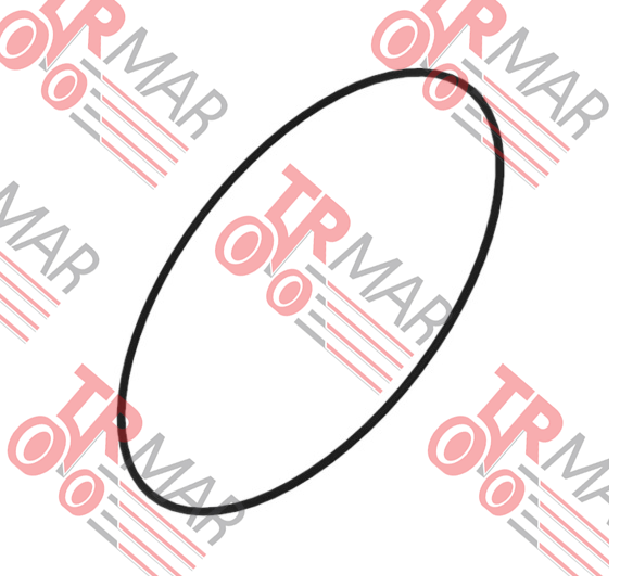 O-Ring